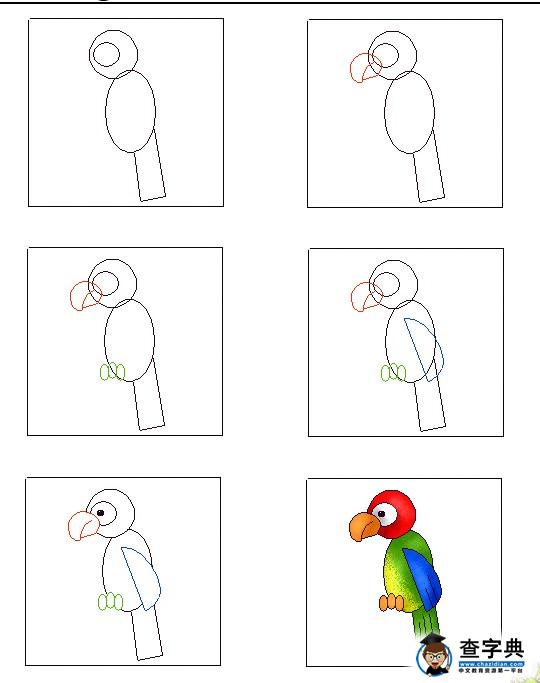 儿童简笔画鹦鹉画法步骤图1