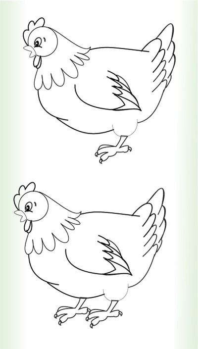 简笔画线描母鸡画法步骤图4