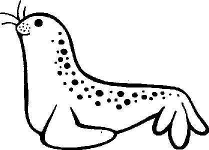 线描简笔画海豹图片2