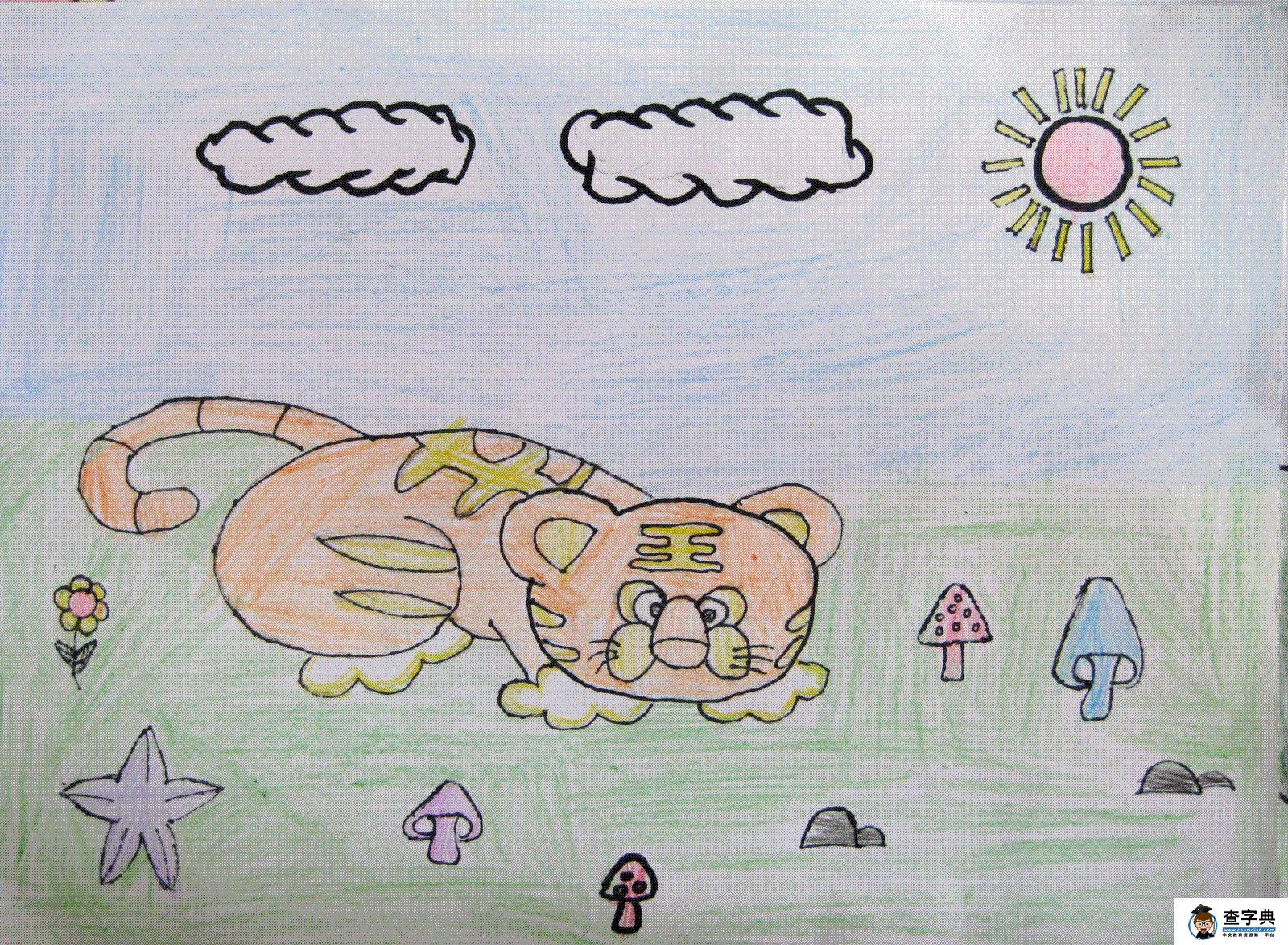 少儿绘画作品铅笔画晒太阳的小老虎