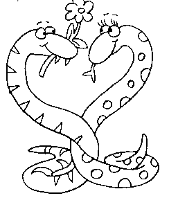 蛇的简笔画：广东俚语之“蛇王”