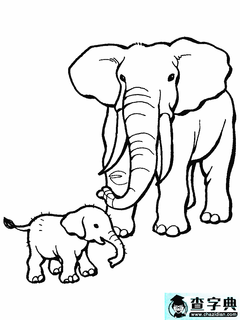 大象简笔画：大象、松鼠和月亮