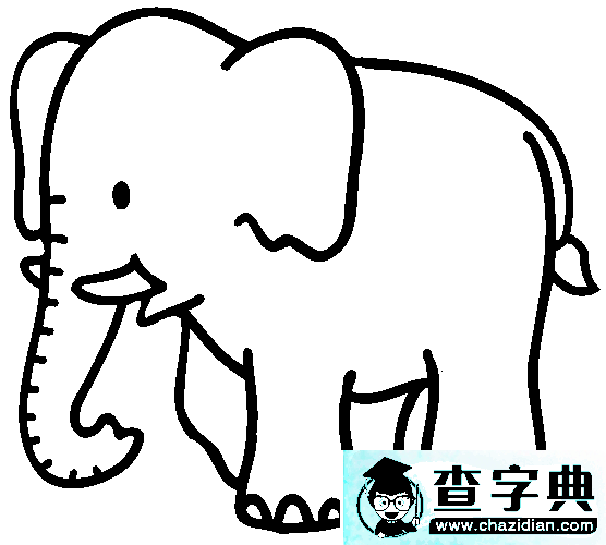 大象简笔画：非洲森林象