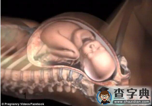 多图看懂分娩过程，新生儿是如何通过产道娩出的