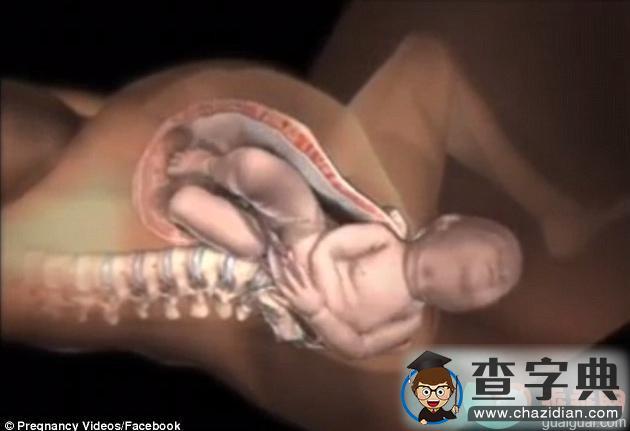 多图看懂分娩过程，新生儿是如何通过产道娩出的8