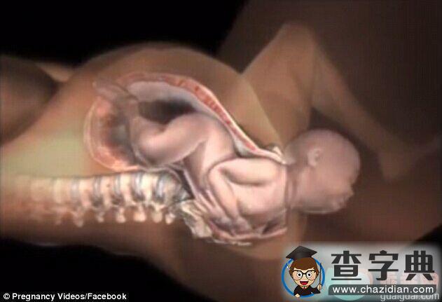 多图看懂分娩过程，新生儿是如何通过产道娩出的7