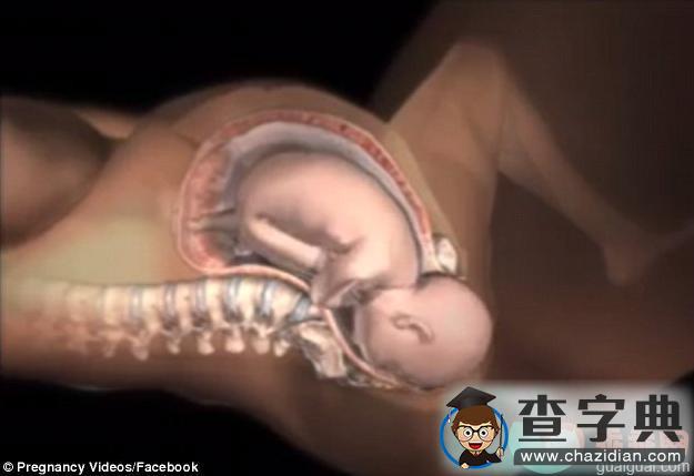 多图看懂分娩过程，新生儿是如何通过产道娩出的5