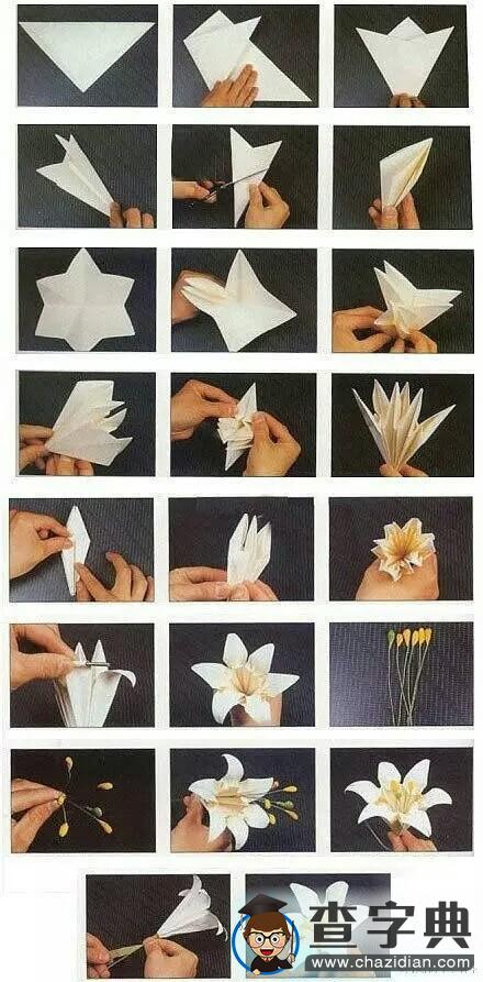 手工制作花：各种美丽的花