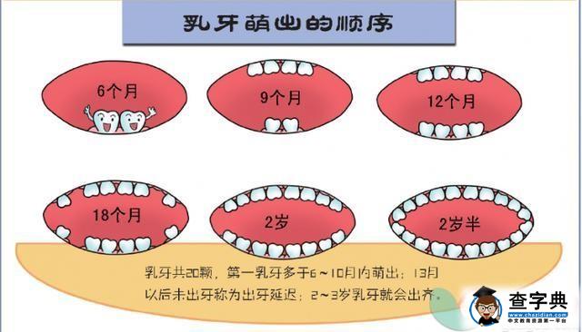 乳牙龋齿别等到换牙 牙齿色斑与龋齿的区别4