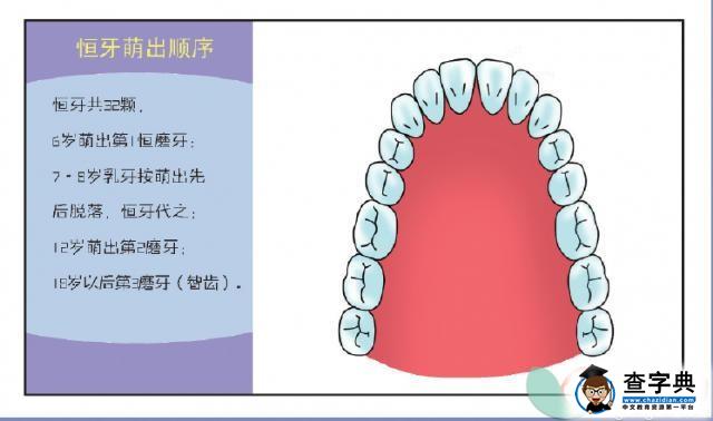 乳牙龋齿别等到换牙 牙齿色斑与龋齿的区别5
