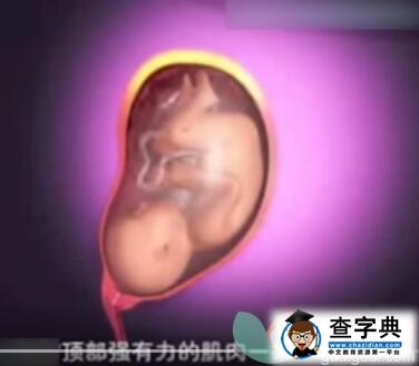 3D看完顺产过程 宝宝是这样出生的2