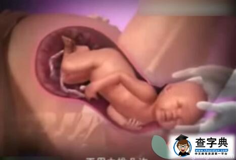 3D看完顺产过程 宝宝是这样出生的6