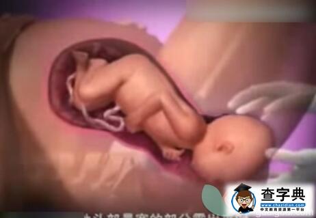 3D看完顺产过程 宝宝是这样出生的5