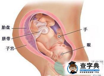 胎儿入盆的感觉 胎儿入盆时间2