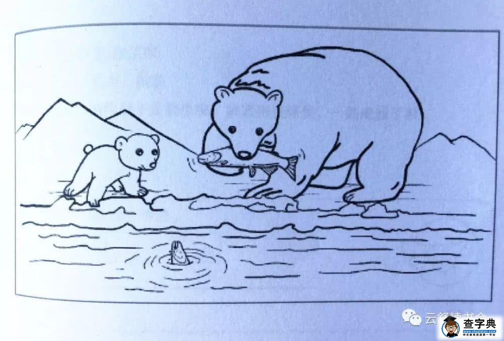 看图作文：构思与范文《小棕熊捕鲑鱼》2