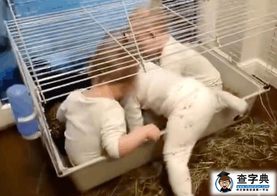 养了一只兔子的妈妈没想到自己的三胞胎出现在笼子里14