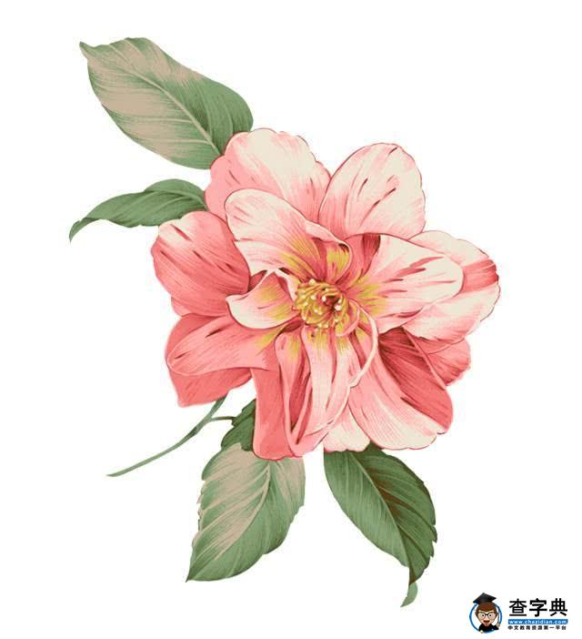 带孩子亲手做的双色玫瑰花才是爸爸送给妈妈的最浪漫的情人节礼物17