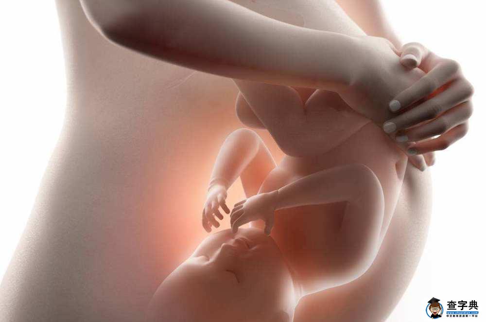 为什么有的孕妈肚子圆，有的孕妈肚子尖？和胎儿性别有关系吗？2