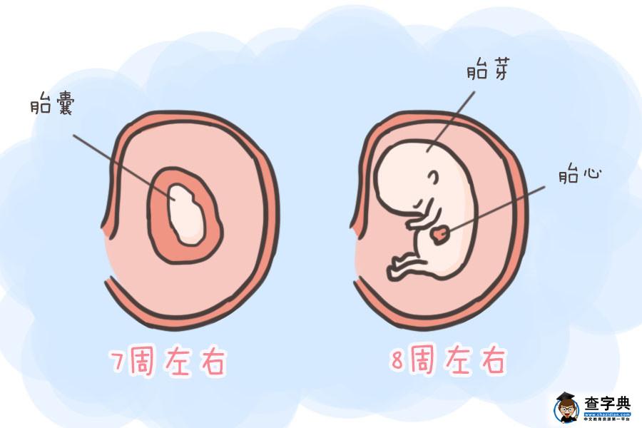 整个孕期要做的B超次数有很多，但这四次B超即使再忙也不要落下
