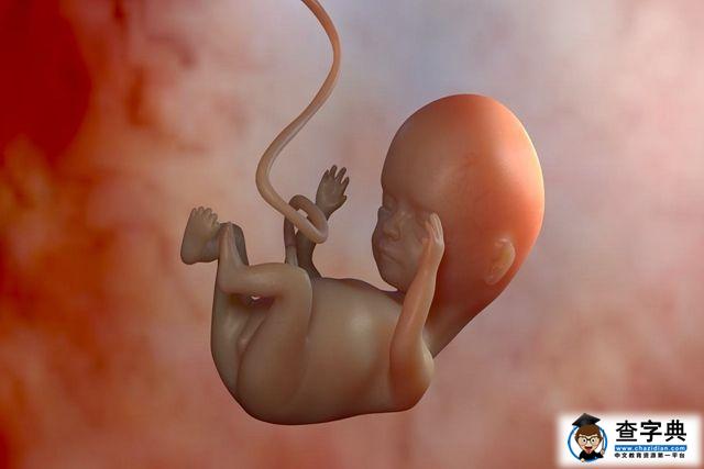 辟谣：怀孕时间越长胎儿越聪明？这种想法太危险，可不能有2