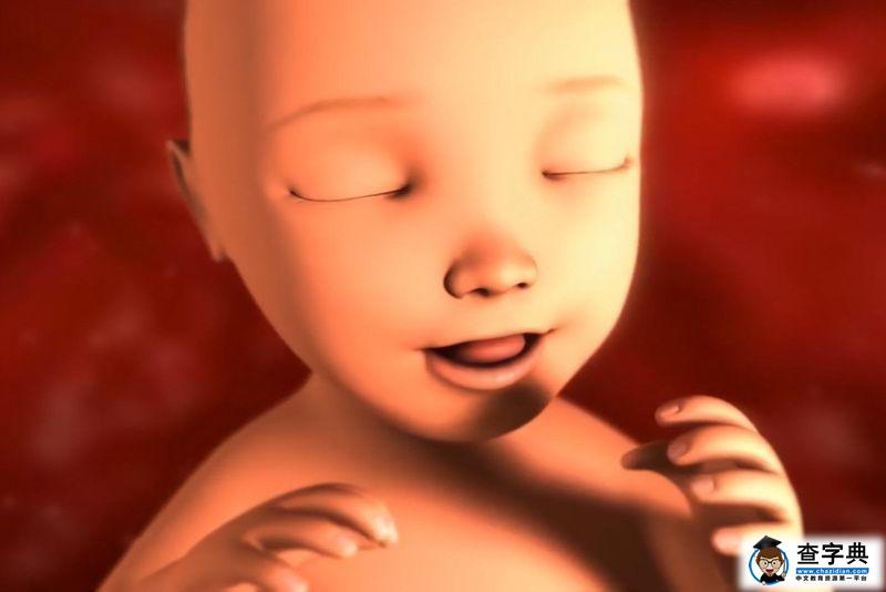 孕妈玩手机时，胎儿在肚子里有什么变化？看完才知母子连心的神奇4