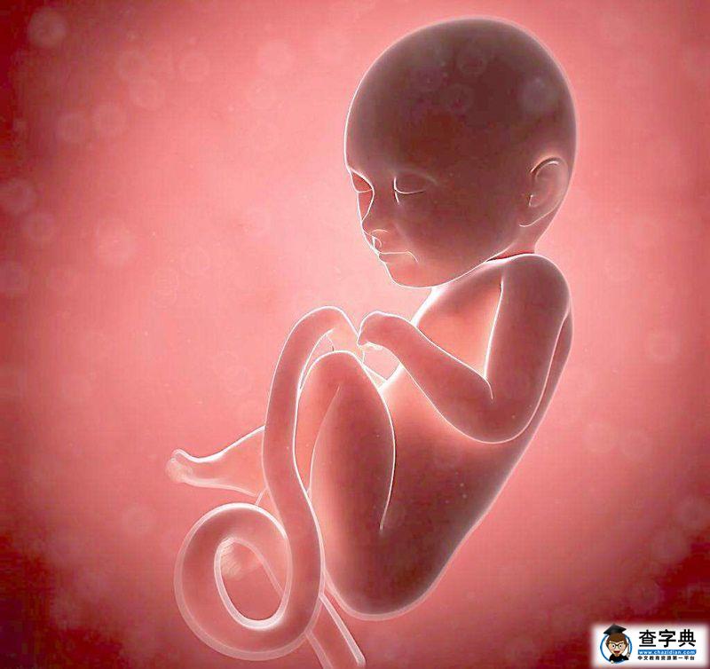 孕妈玩手机时，胎儿在肚子里有什么变化？看完才知母子连心的神奇2