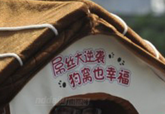 [图]没房子没妹子 为抗议高房价广州大学生顶狗窝上街2